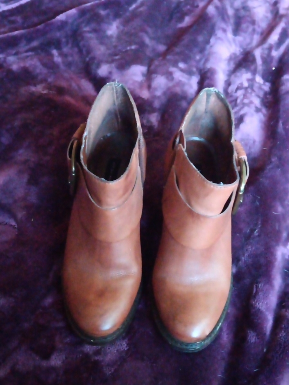 Steve Madden Chestnut Brown Leather Ankle Booties with Side Buckle
